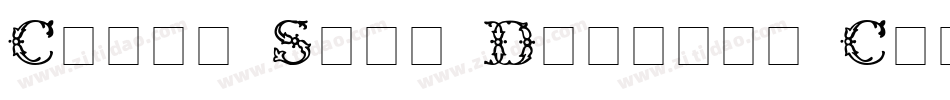 Cheap Shot Display Caps SSi字体转换